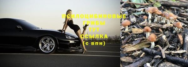МДПВ Бронницы