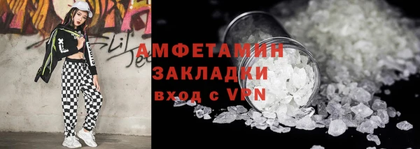 крисы Бородино