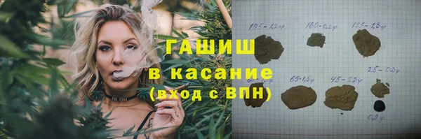 крисы Бородино
