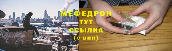 крисы Бородино