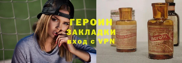 крисы Бородино