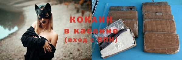 крисы Бородино