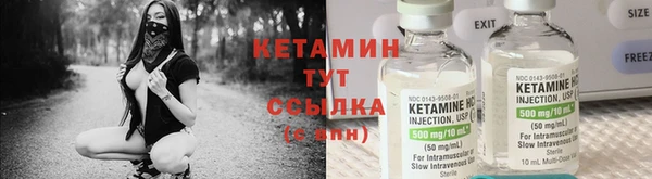 крисы Бородино