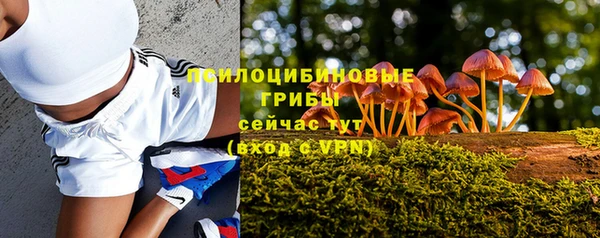 крисы Бородино