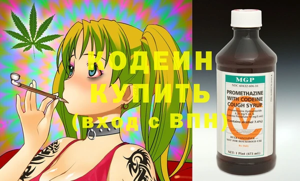крисы Бородино