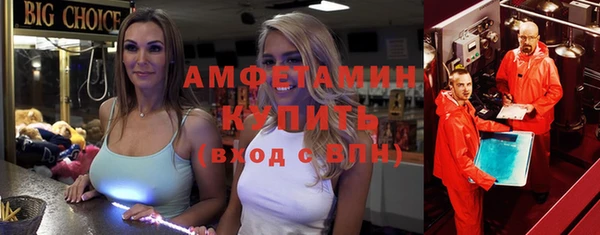 крисы Бородино